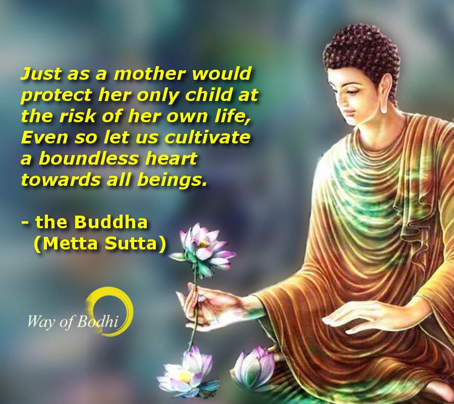 Dharma Quote - Metta Sutta - Loving kindness