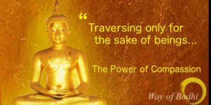 The power of compassion