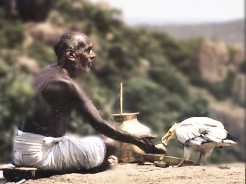 Feeding the Vultures at Pakshitheertham, at Thirukazhukundram