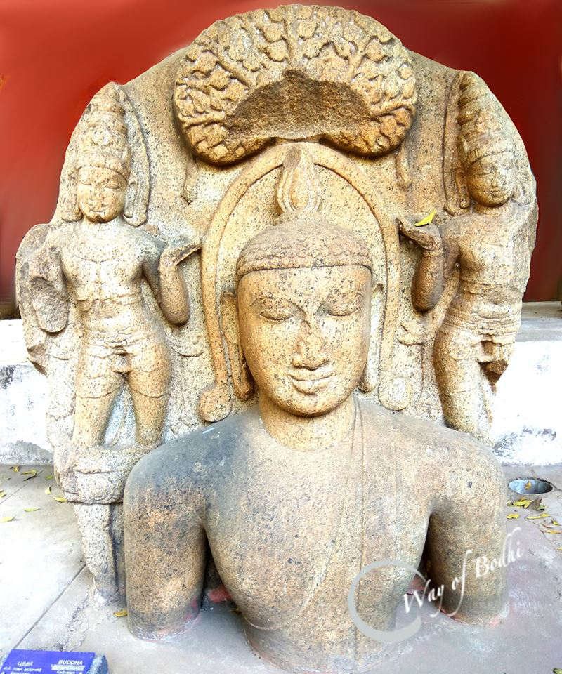 Mahayana Buddhism in Tiruchirappalli, Tamil Nadu- Ancient Buddha statue from Kodiyalam, Tiruchirapalli district, Tamil Nadu. Now in Tiruchirapalli Museum.