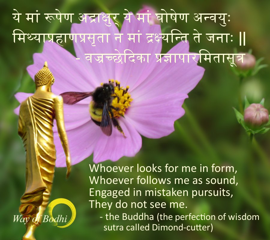 Beyond Seeking - Way of Bodhi