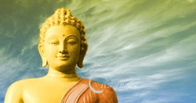 Buddha - Way of Bodhi