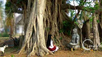 Buddhism in Pushpavanam, Nagapattinam, Tamil Nadru