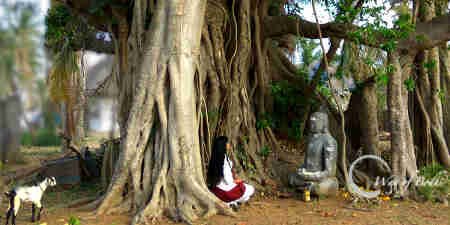 Buddhism in Pushpavanam, Nagapattinam, Tamil Nadru