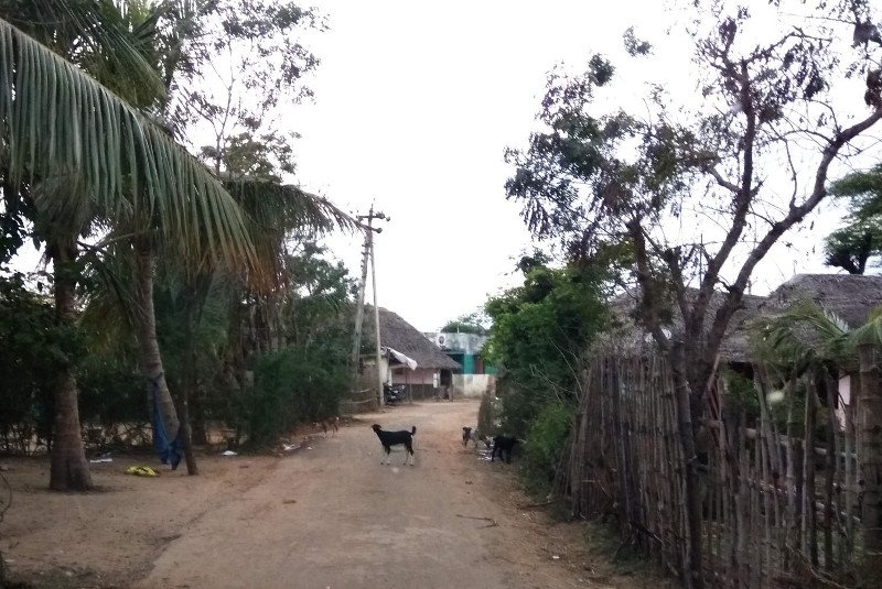 Buddhamangalam village