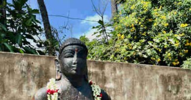 Ancient Buddha Statues of Cuddalore, Tamil Nadu