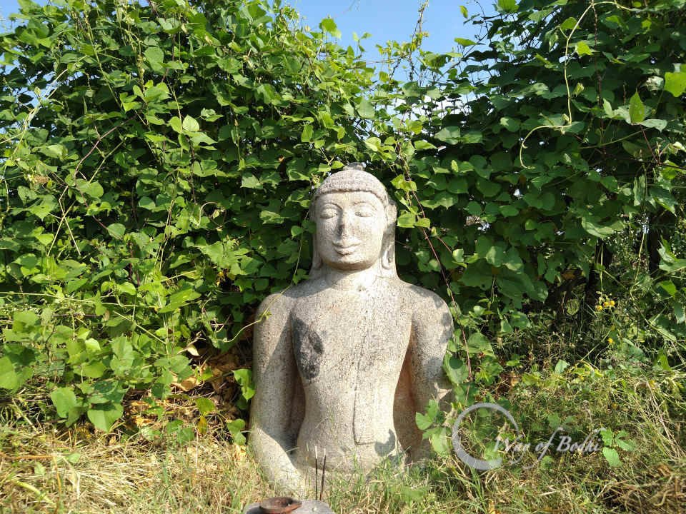 Ancient Buddha Statue, Ulagiyanallur, Kallakurichi, Tamil Nadu