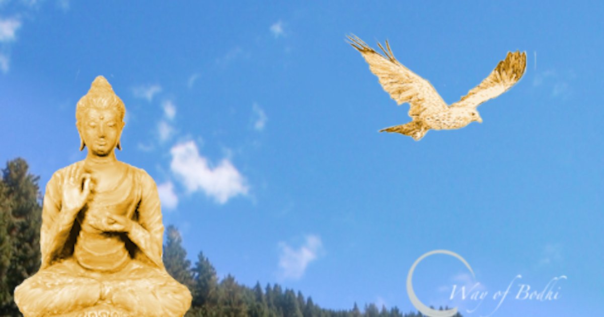 Like a bird flying through the vast expanse - Way of Bodhi